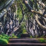 The Dark Hedges, Bregagh Road, UK